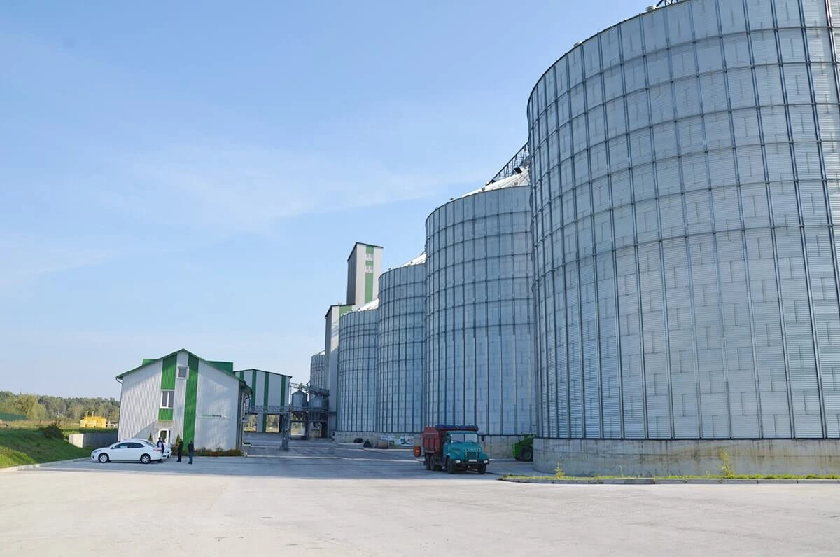 Silos płaskodenny